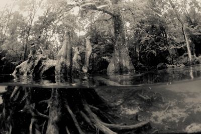 DSC_2881.jpg