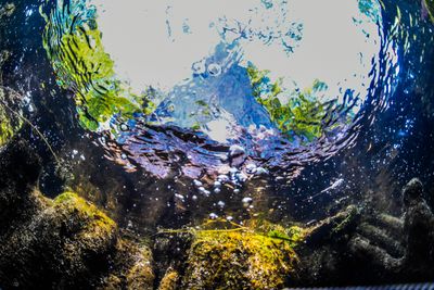 DSC_7226.jpg