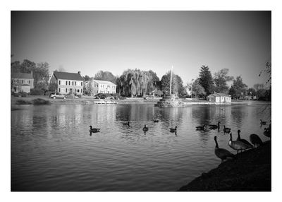 IMG_20161117_152637-EFFECTS.jpg