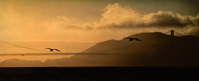 San Francisco Bay at Sunset