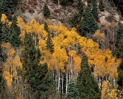 Abiquiu-Chama, New Mexico