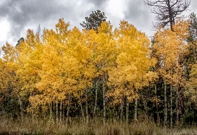 Abiquiu-Chama, New Mexico