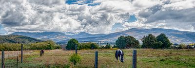 Pasture Above Chama, Winter Skies