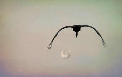 Chasing the Impossible