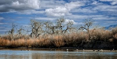 The Rio Grande River
