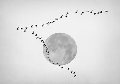 Fly By