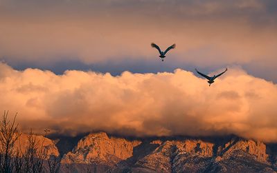 Morning Rise