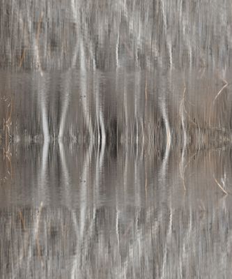 The Mirror Reflection