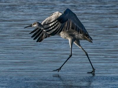 Ice Ballet