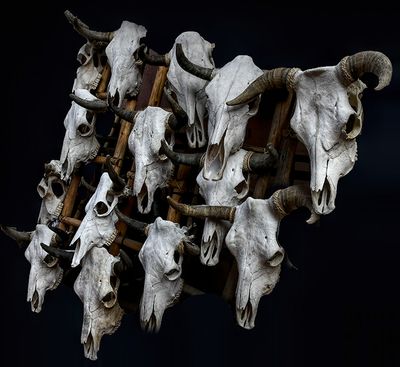 Skull Duggery