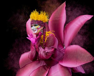 Fairy Queen of Albuquerque