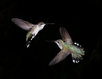 Takes Two to Tango!