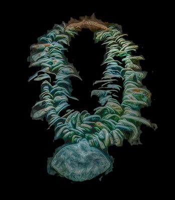Navajo Squash Blossom Necklace - All Turquoise