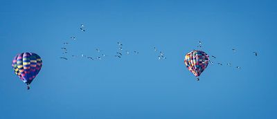 Albuquerque Hot Air Balloon Fiesta, 2023