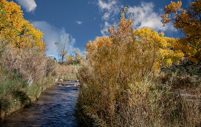 Jemez Springs