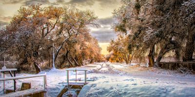 Romero Acequia