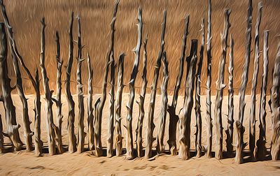 New Mexico Fence Line