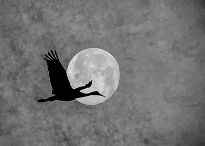 Good Morning Moon