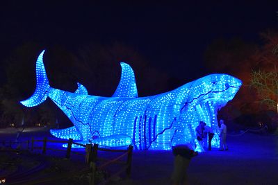 Giant Walk-Through Shark