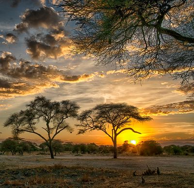 East African Sunset