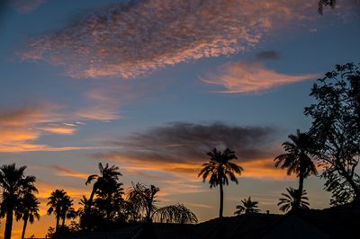 Desert Palms Sunset