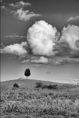 Best B&W