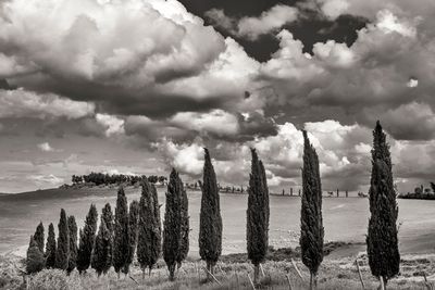 Tuscany