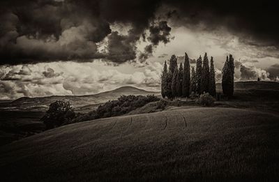 Vintage Tuscany