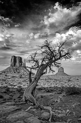 My B&W Gallery