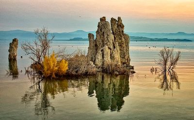Mono Lake: Primordial Nature