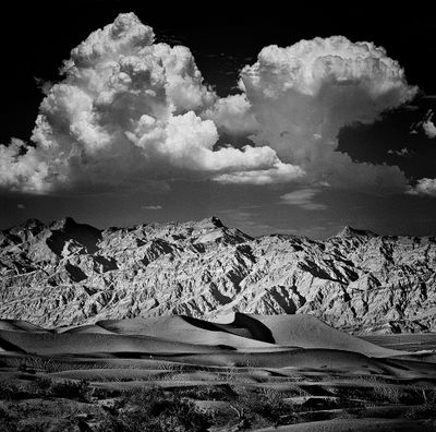 My B&W Gallery