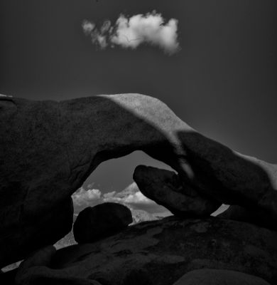 My B&W Gallery