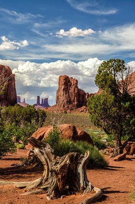 American Southwest Portfolio