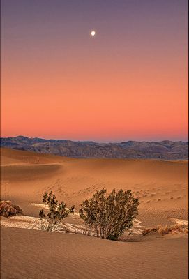 US Southwest Portfolio