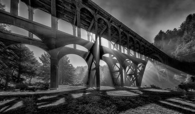 Black and White Collection