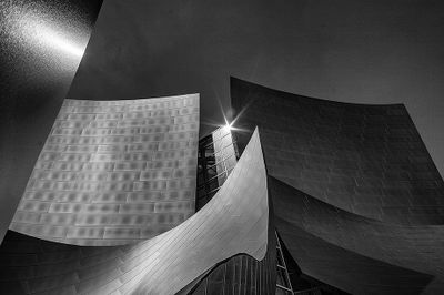                                      Disney Concert Hall