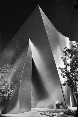                                      Disney Concert Hall