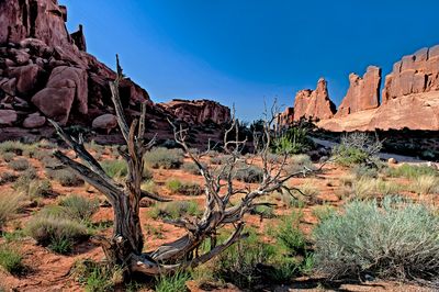 Arches National Park