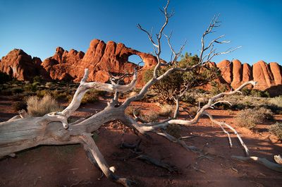 Arches National Park / Moab Utah