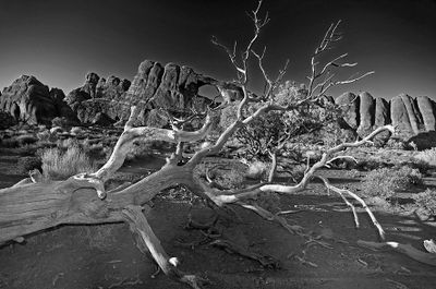 Arches National Park