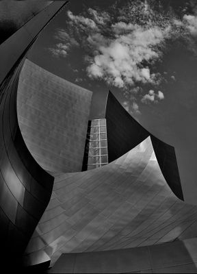 Black and White Collection