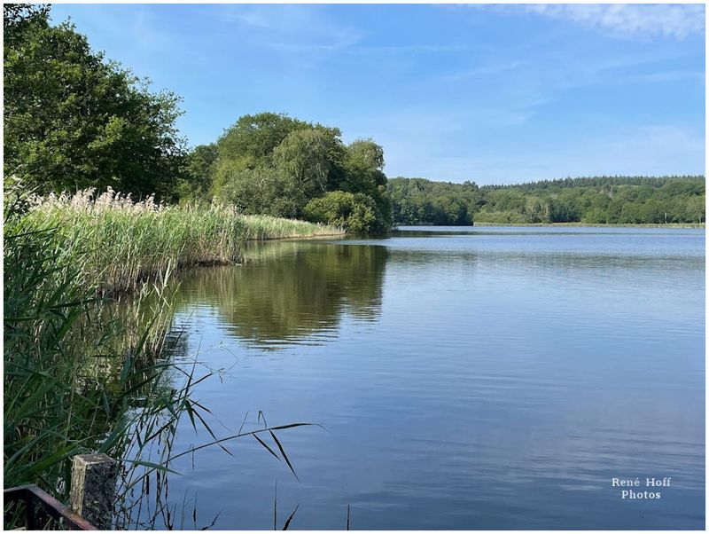 Etang du du haut