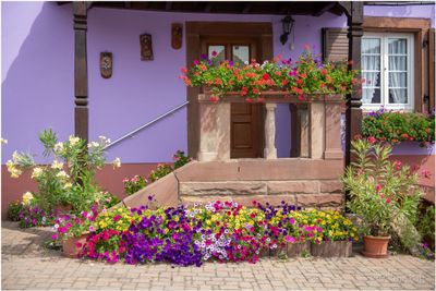 Imbsheim 23.Jpg