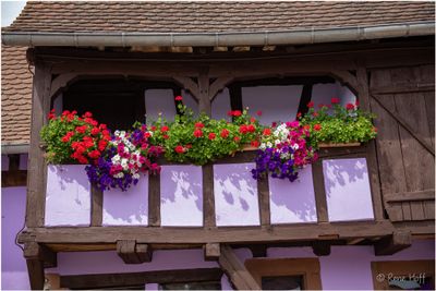 Imbsheim 24.Jpg