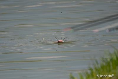 _RH160772025-2.jpg
