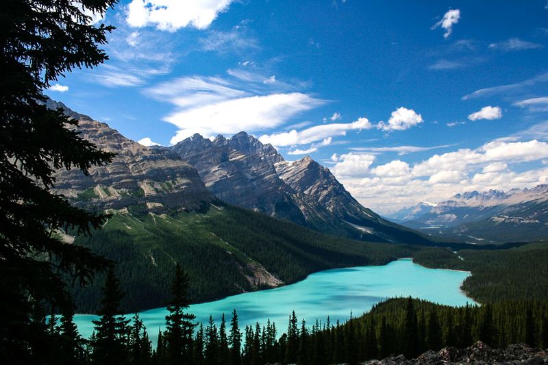 Peyto Lake - Banff National Park