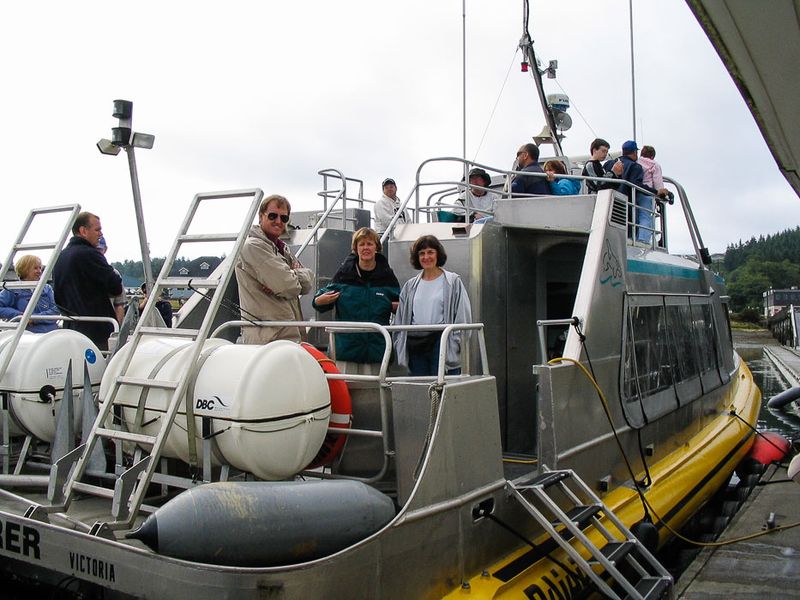 Whale watching tour