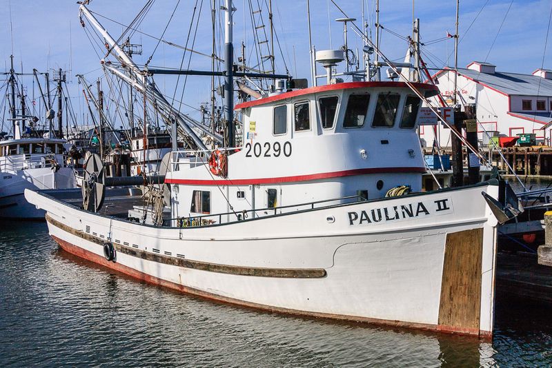 Paulina II