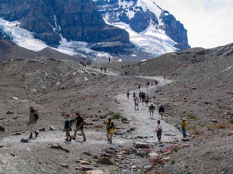Athabasca Glacier