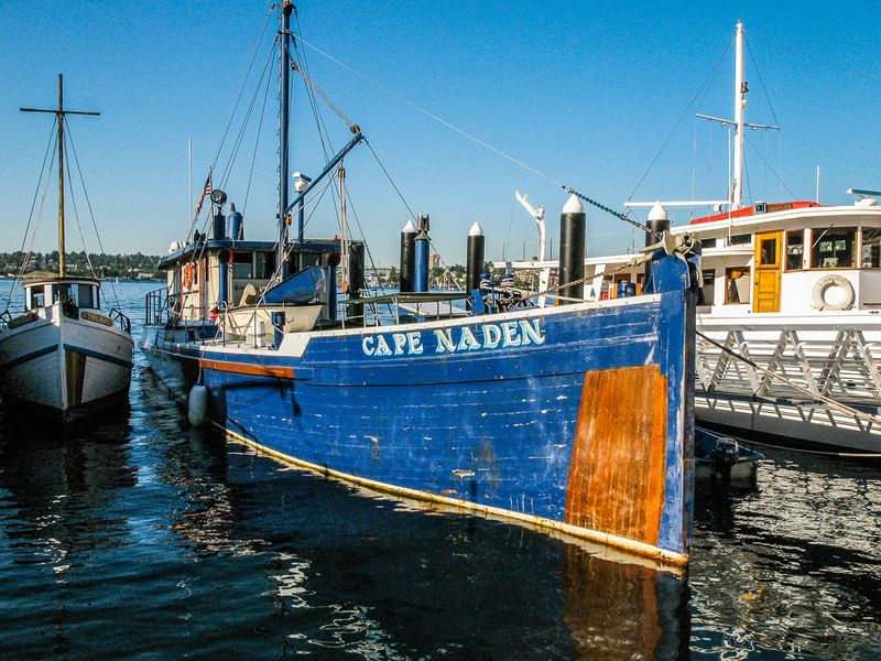 Canadian fish-packing vessel Cape Naden (1918)